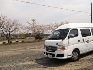 彩べえお花見ドライブ