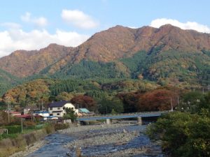 白神山地