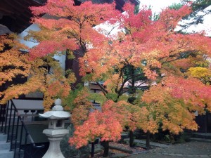 お寺の紅葉